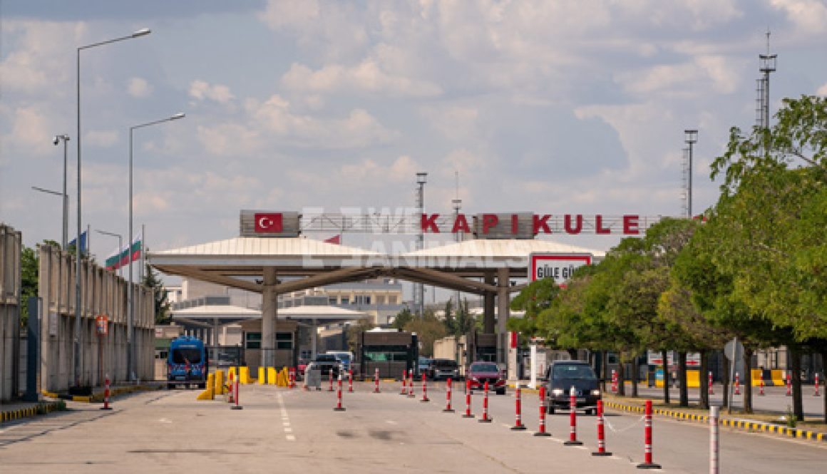 uluslararası-nakliyat